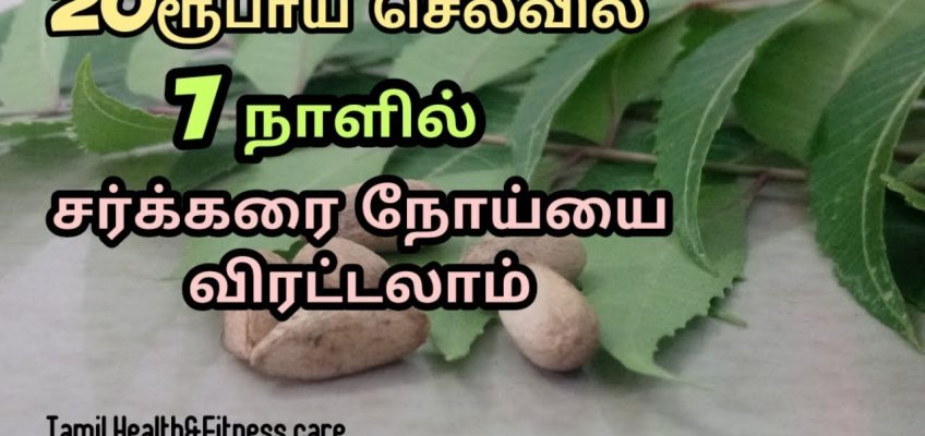 20ரூபாய் செலவில் 7 நாளில் சர்க்கரை நோய்யை விரட்டலாம் |Tamil Health and Fitness care