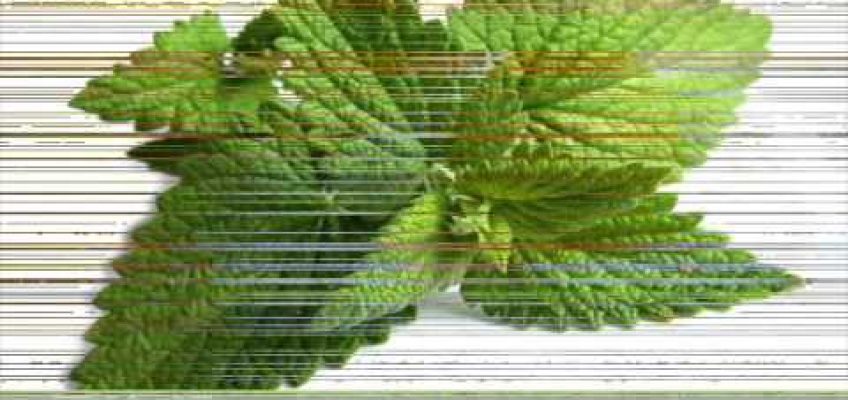 6 Home Remedies For Stomach Pain