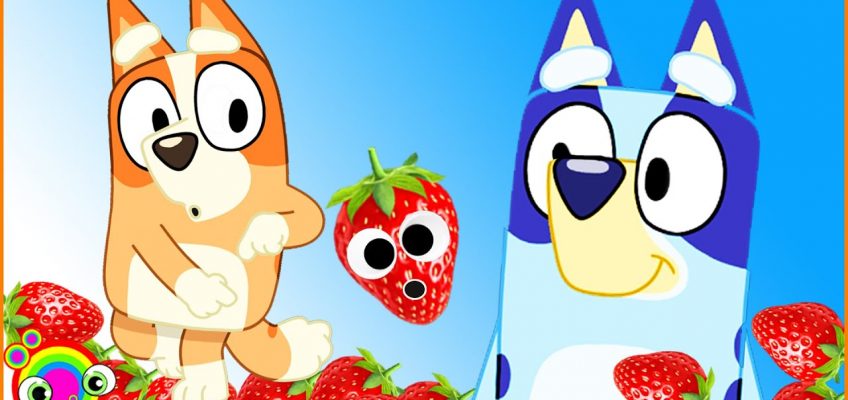 BLUEY Disney Jr ABC Kids | Fruit and Healthy eating for children with Blippi fan | min min playtime