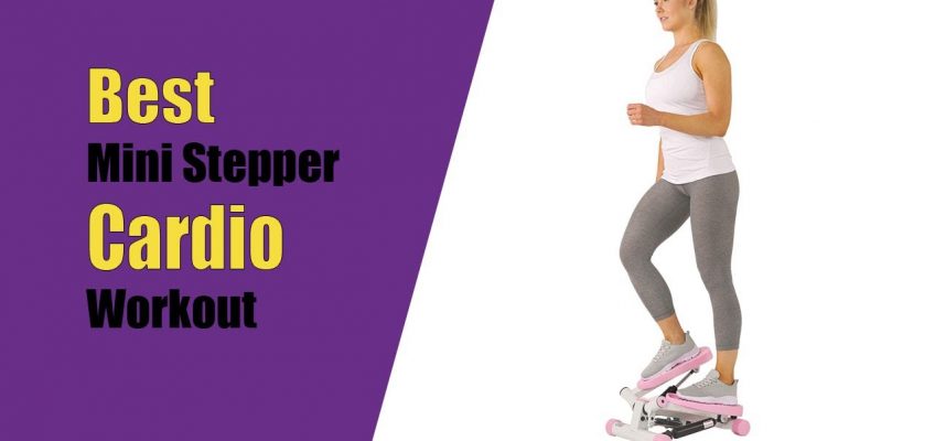 Best Twist Stepper Adjustable Pink Sunny Health and Fitness 2020