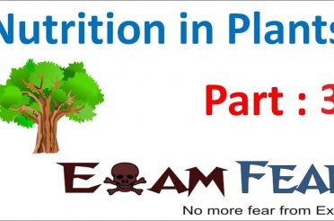 Biology Nutrition in Plants Part 3 (Modes of Nutrition) Class 7 VII
