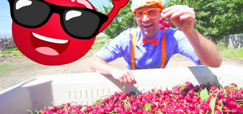 Blippi at The Cherry Farm and More Blippi Fun | Learning Fruits and Healthy Eating For Kids