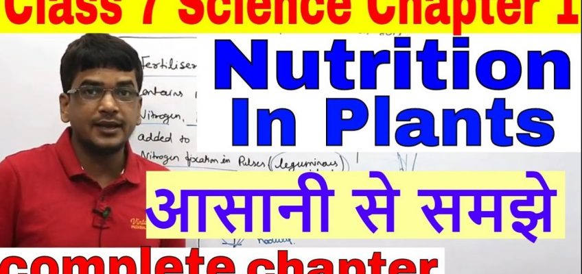 Class 7 Science Chapter 1: Nutrition In Plants NCERT CBSE