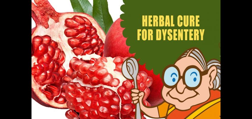 Dysentery Treatment – Natural Ayurvedic Home Remedies – Butter Milk &  Pomegranate