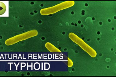 Home Remedies for Typhoid