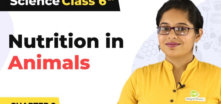 Human Digestive System – Nutrition in Animals | Class 7 Science