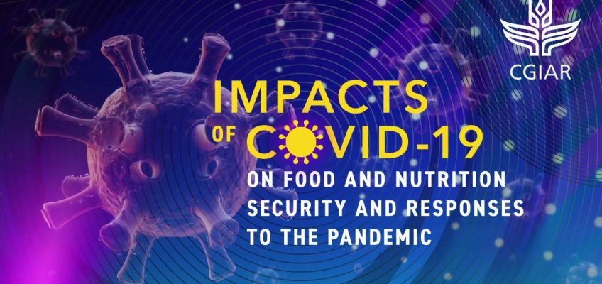 Impacts of COVID-19 on Food and Nutrition Security and Responses to the Pandemic