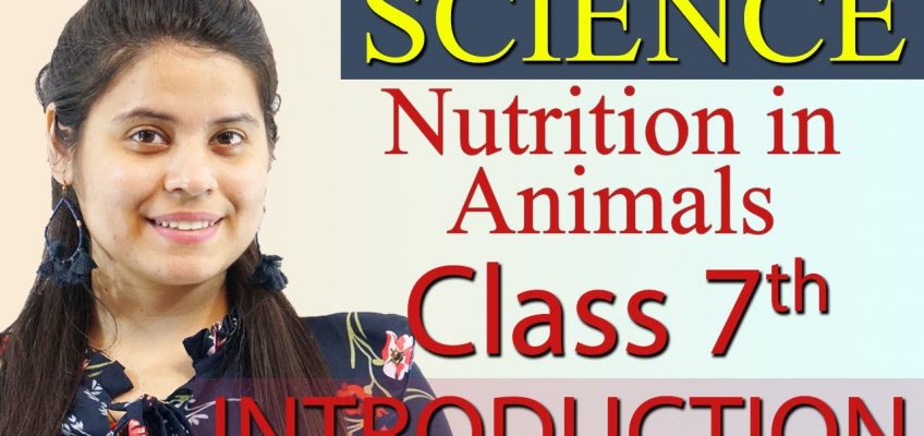 Introduction – Chapter 2 – Nutrition in Animals – NCERT Science Class 7th