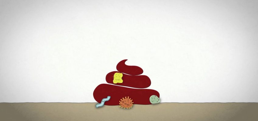 Lack of water, sanitation and hygiene (WASH) and its effects on nutrition