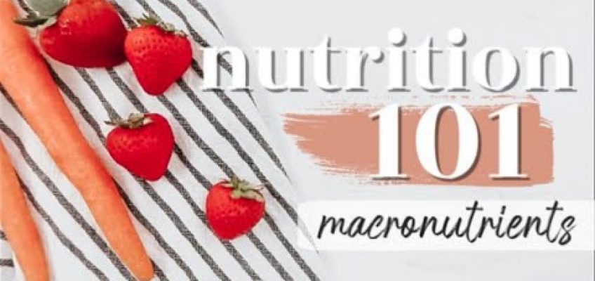 MACRONUTRIENTS: THE BASICS | Nutrition 101 Ep. 1