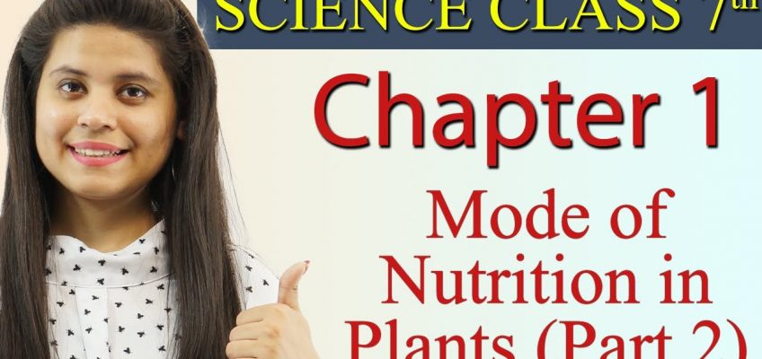 Mode of Nutrition in Plants (Part 2) – Nutrition in Plants – Chapter 1 Class 7 Science