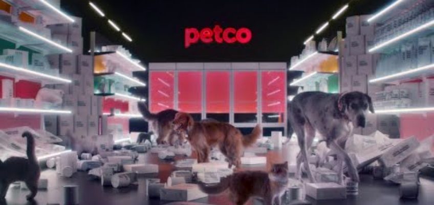 Nutrition Made Easy | Petco