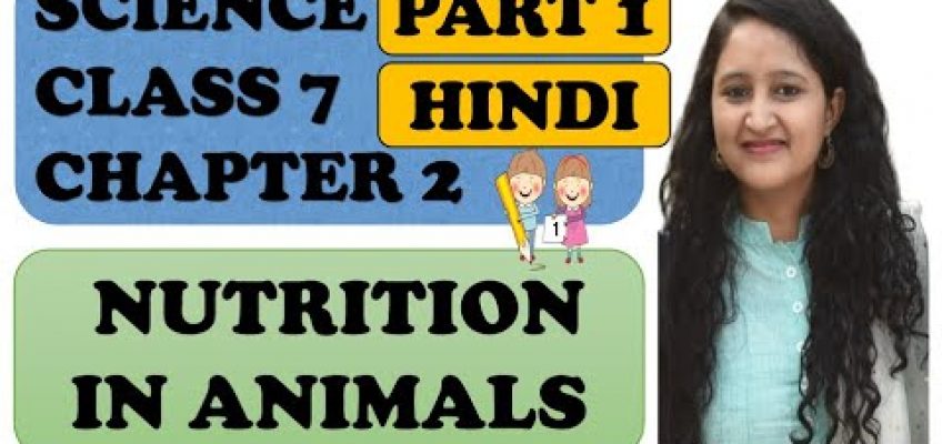 Nutrition in animals in Hindi : Class 7 Science Chapter 2 :  (PART -1 )