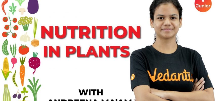 Nutrition in plants | Mode of Nutrition | Autotrophic & Heterotrophic | Class 7 Science |  Vedantu