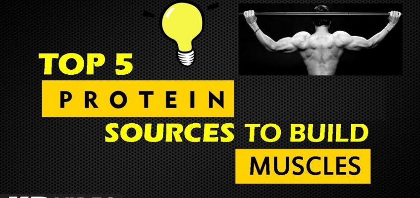 Top 5 Protein Source to Build Muscles | Health and Fitness Tips | Guru Mann