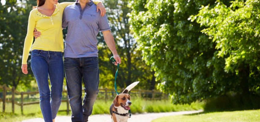 10 Reasons to Go For a Walk Today