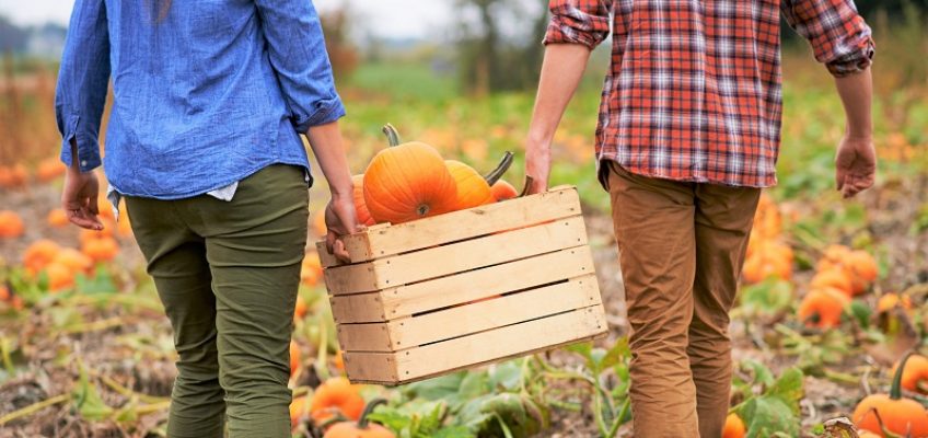 Fall Activities to Burn Calories