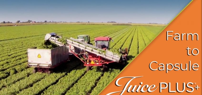 Farm to Capsule – Farm Fresh Nutrition | Juice Plus+