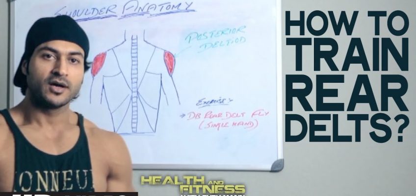 How to Train REAR DELTS? | Health and Fitness Tips | Guru Mann | Workout Tips
