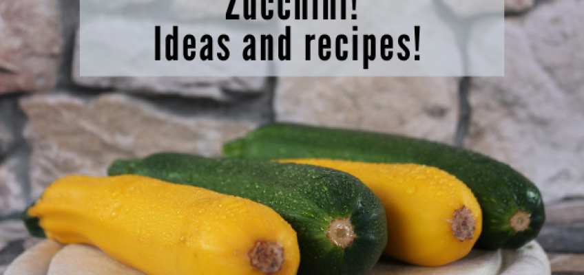 Zucchini ideas and recipes! | Health Stand Nutrition