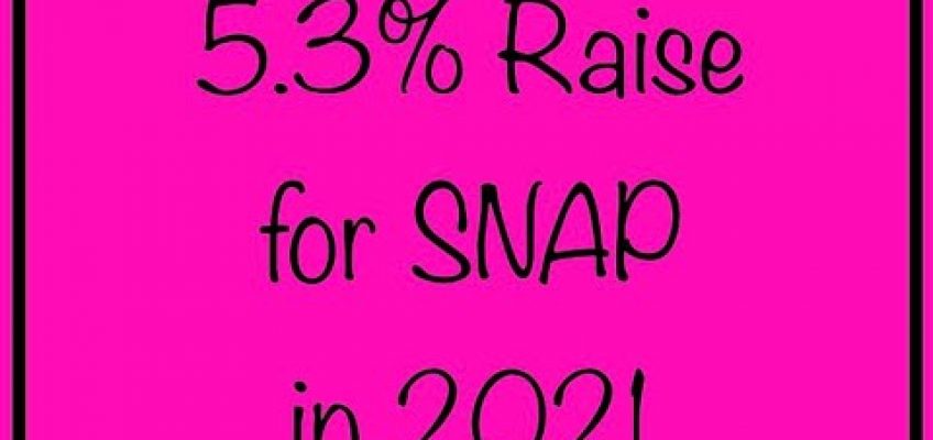 5.3% Raise for SNAP Benefits in 2021 – Supplemental Nutrition Assistance Program / Food Assistance
