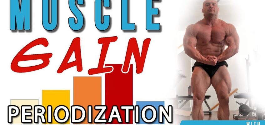 Muscle Gain Periodization | Nutrition for Muscle Gain – Lecture 5
