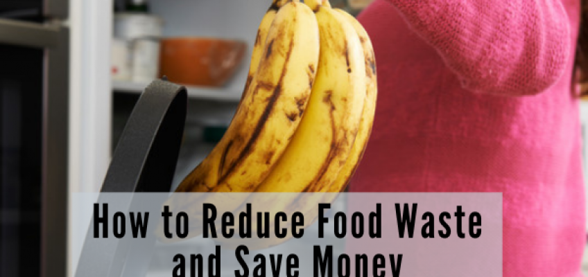 Economical Eating: How to reduce food waste and Save Money