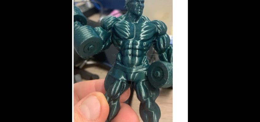 WNC2 – WORLD NUTRITION CENTER 2 – LIVE CHAT 26/10