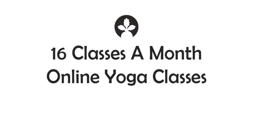 16 Classes A Month | Live Yoga Class | Nile Health And Fitness