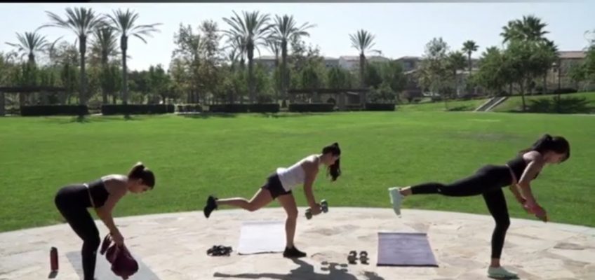Barbell Health and Fitness Exercises That Suit Beginners
