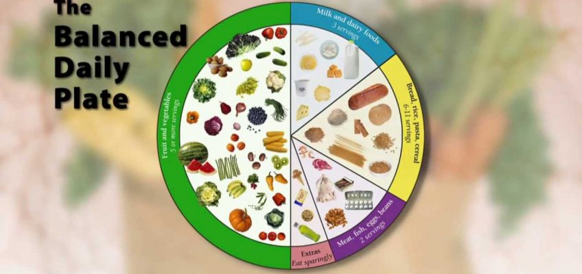 Basic Nutrition Module 1 – Getting started