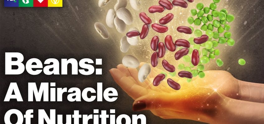 Beans – A Miracle Of Nutrition