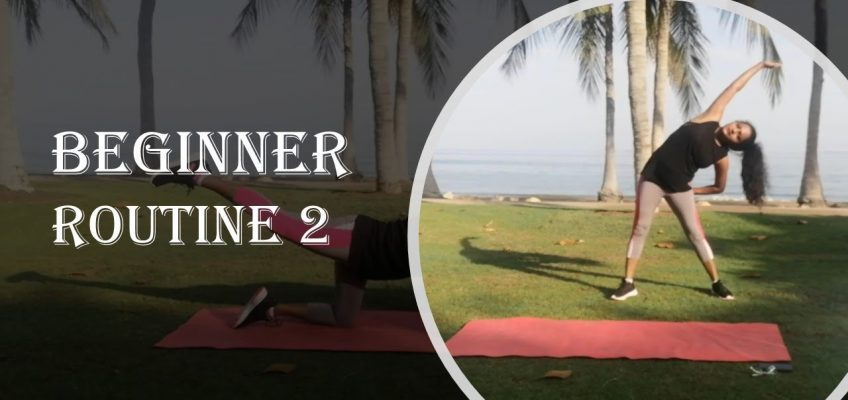 Beginner Routine 2 |Health and Fitness | Weight loss | Core Workouts