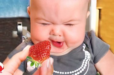 Cutest Baby Eating Fruit . Healthy Eating Video | Funny Pets Moments