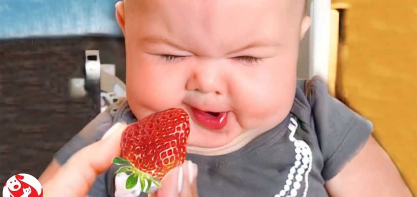 Cutest Baby Eating Fruit . Healthy Eating Video | Funny Pets Moments