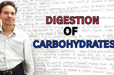 Digestion of Carbohydrates | Animal Nutrition | For IAS,NEET,GATE,NET and BSc