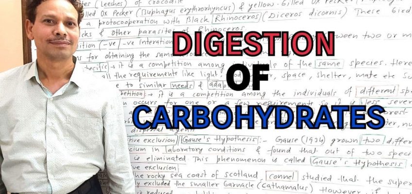 Digestion of Carbohydrates | Animal Nutrition | For IAS,NEET,GATE,NET and BSc