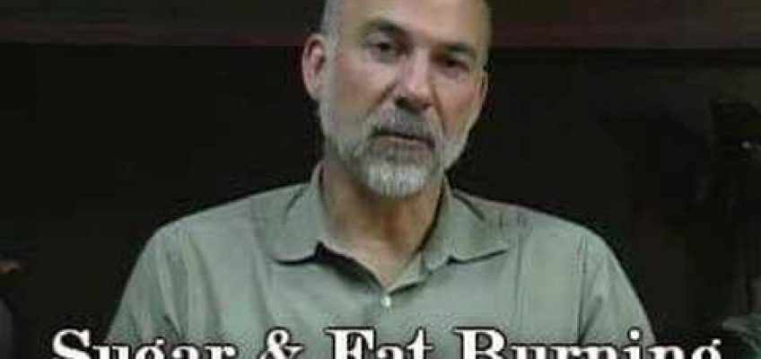 Fat Burning, Diet, Weight Loss & Sugar,  Austin Wellness