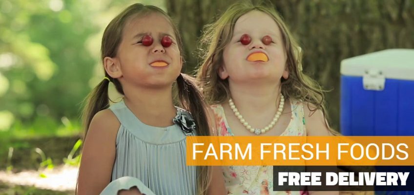 Happy Families Start with Healthy Diets – Grocery Delivery Milk and Eggs