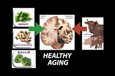 Healthy, (Nutrient) Wealthy and Wise: Diet for Healthy Aging – Research on Aging