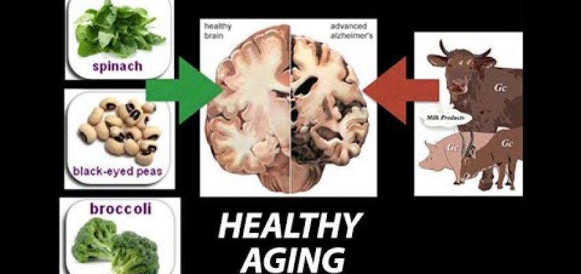 Healthy, (Nutrient) Wealthy and Wise: Diet for Healthy Aging – Research on Aging