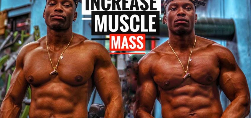 How to Increase Muscle Mass | Health and Fitness Tips of the Day