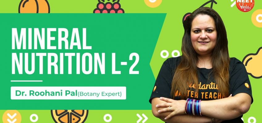 Mineral Nutrition L-2 | Complete Plant Physiology | NEET Botany |NEET 2021 Strategy |Dr. Roohani Pal