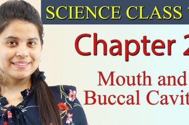 Mouth and Buccal Cavity – Chapter 2 – Nutrition in Animals – NCERT Science Class 7t