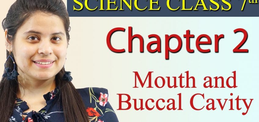 Mouth and Buccal Cavity – Chapter 2 – Nutrition in Animals – NCERT Science Class 7t