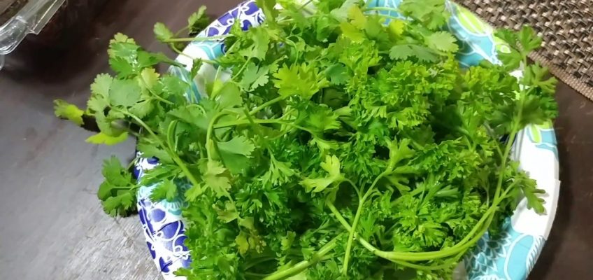 NATURAL Way to Flush Your Kidneys🌿🌿 HOME Remedies | PREVENT KIDNEY FAILURE