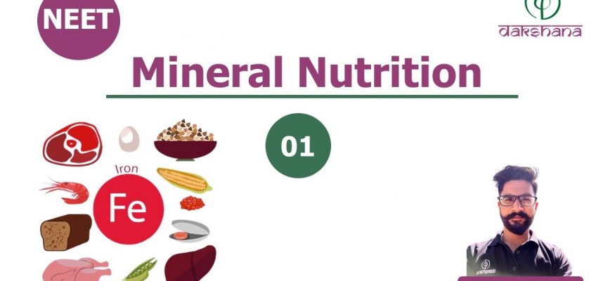NEET | Biology | Mineral Nutrition | L 01 | Paras Verma