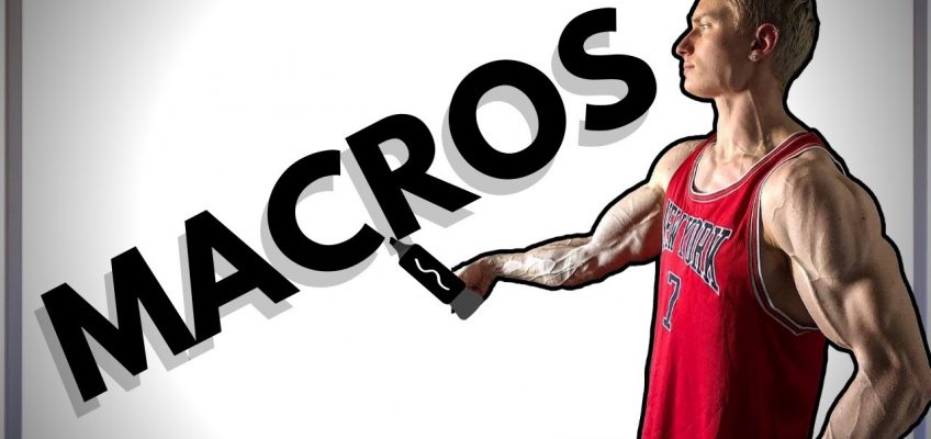 NUTRITION 101 | Macronutrients, Protein, Fats & Carbohydrates