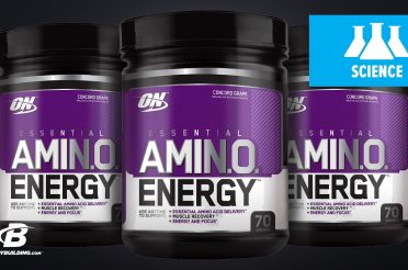 Optimum Nutrition Amino Energy | Science-Based Overview