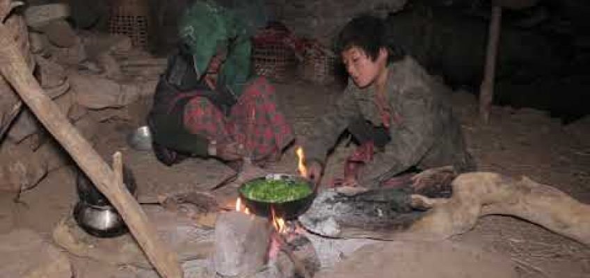 Organic village food is the most healthy food